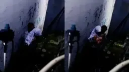 Ngintip Daun Masih Muda Grepe Dibelakang Sekolah